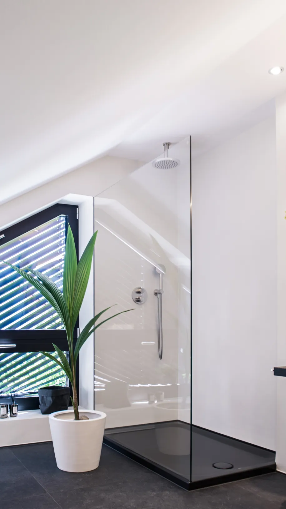 Modernes Dachbad mit bodengleicher Glasdusche, schwarzer Duschtasse und großer Zimmerpflanze am Fenster.
