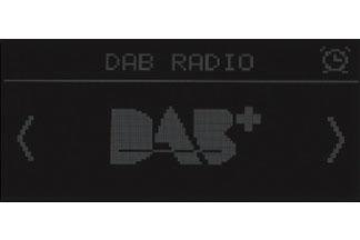 DAB+